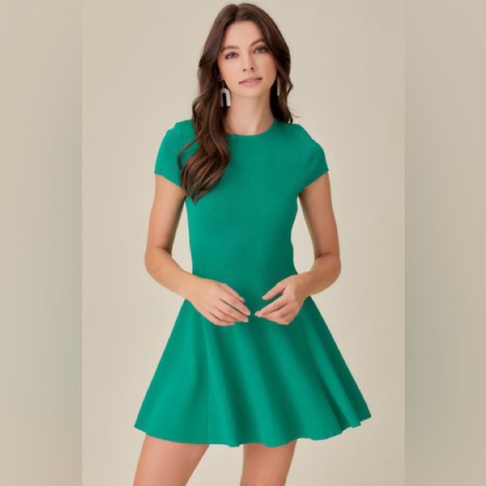 Olivaceous Green Mini Swing Dress